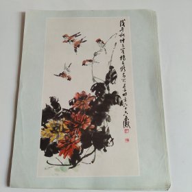 七八十年代16开老画一张印刷品，杨应修（菊）