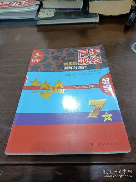 初中四星级同步题组训练与测评：数学（7年级第2学期）