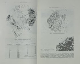 【学者谢又广签名旧藏】1972年东京大学地理系学者坂口裕隆著《泥炭沼泽中滩洼成因的探讨——茅草弦理论的解释》16开25页插图本