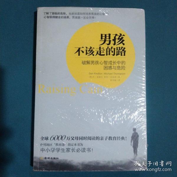 男孩不该走的路：破解男孩心智成长中的困惑与危险