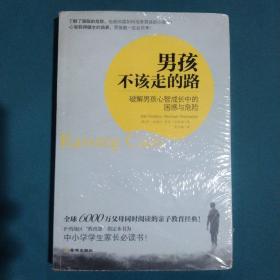 男孩不该走的路：破解男孩心智成长中的困惑与危险