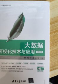 大数据可视化技术与应用-微课视频版