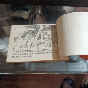 中国武术连环画:(量少版本)少林女杰