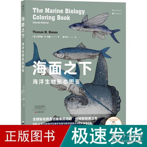 海面之下：海洋生物形态图鉴（一本可以涂色的海洋科普书）