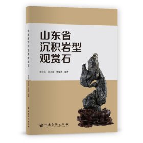 【正版新书】山东省沉积岩型观赏石