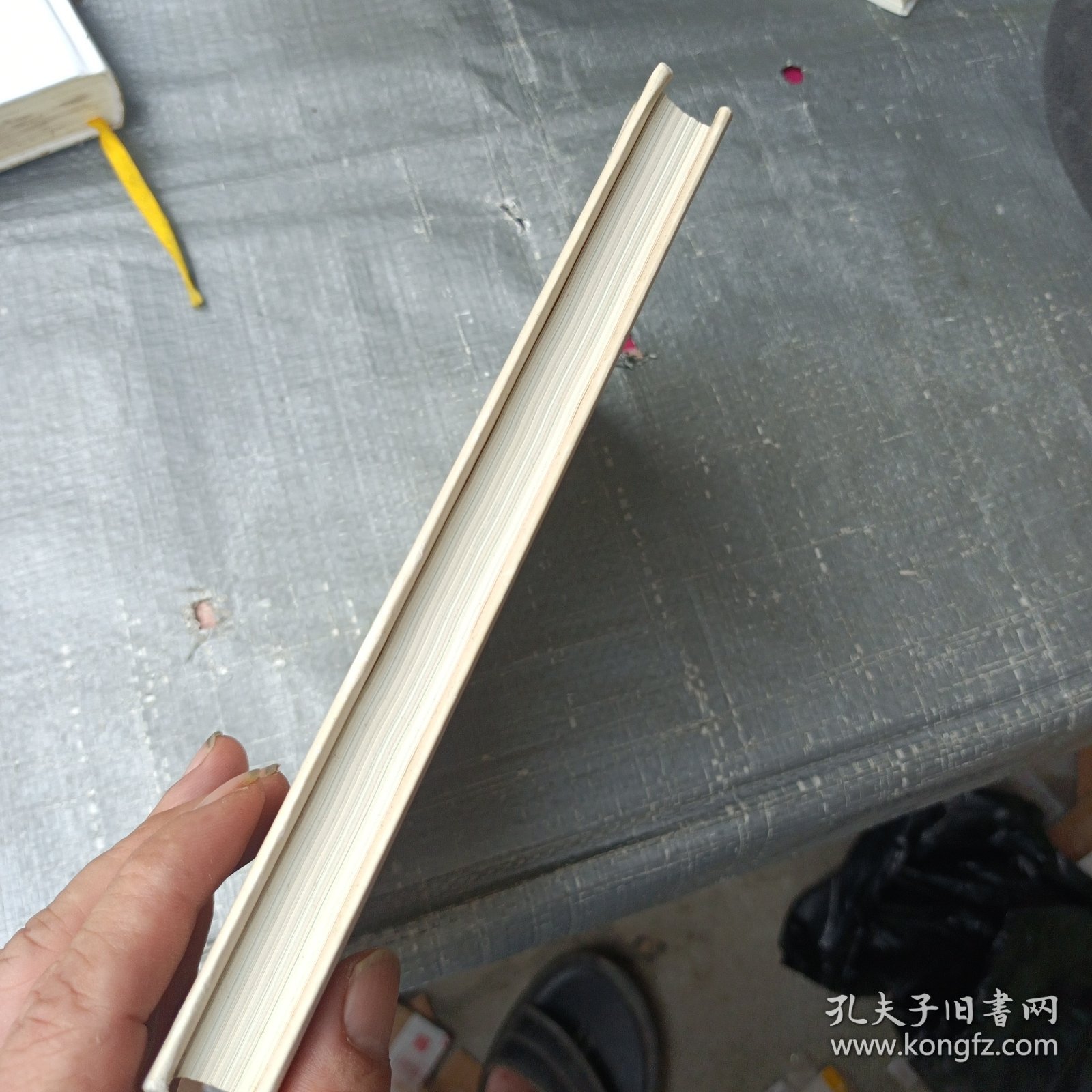 八月长安-时间的女儿