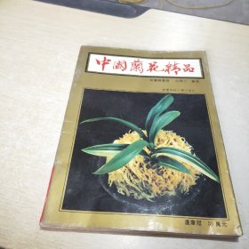 中国兰花精品 投资与栽培