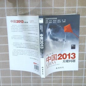 中国2013：关键问题