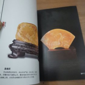 寿山石赏识：铁笔丹青郭威雕刻作品集