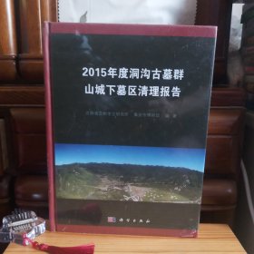 [九五品至九九品·全新未开封库存书]2015年度洞沟古墓群山城下墓区清理报告【[小瑕疵：书脊处上端右侧边缘有一轻微小刮蹭小磨损色差痕迹现象(未影响内部·介意勿拍)]·其它完美·正版实物·按图发货·详见书影及描述】