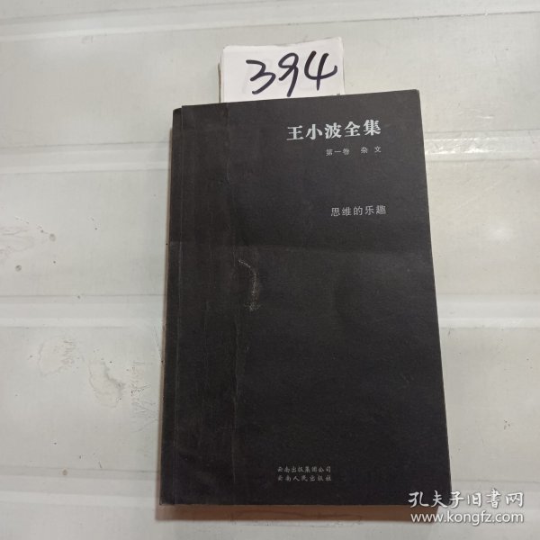 王小波全集（第一卷 杂文）：思维的乐趣