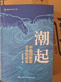 潮起：中国创新型企业的诞生