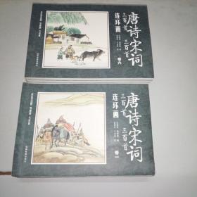 唐诗 宋词三百首连环画 全12册