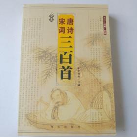唐詩宋詞三百首全本