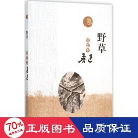 野草:插图本 中国文学名著读物 鲁迅