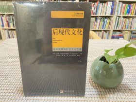 后现代书系：后现代文化·技术发展的社会文化后果