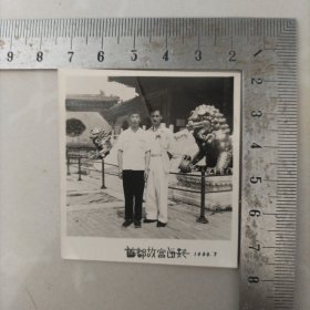 照片，，合影，首都故宫留影1960年