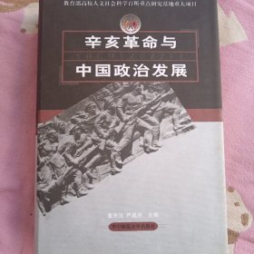 辛亥革命与中国政治发展