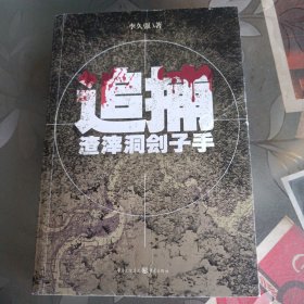 追捕渣滓洞劊子手（《紅巖》小說的B面：公安戰(zhàn)士和潛伏的劊子手之間追捕與反追捕的曲折故事）