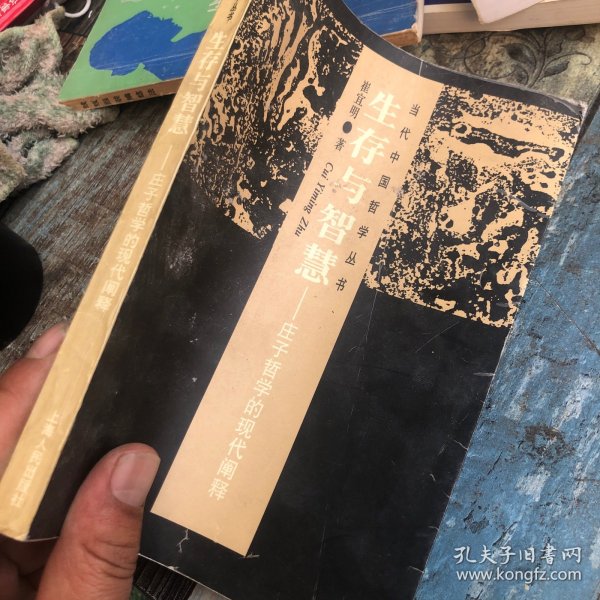 生存与智慧:庄子哲学的现代阐释