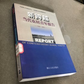 新跨越:当代农村青年报告