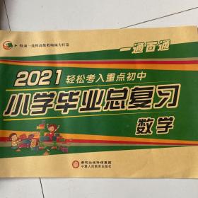 一通百通 2021 小学生毕业总复习数学