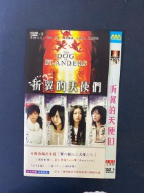 光盘DVD：折翼天使们 1碟装 以实拍图购买