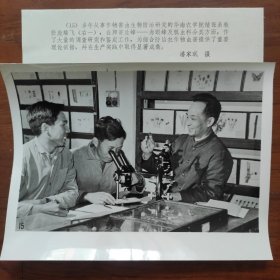 1979年，华南农业大学教授庞雄飞（广东佛山人，中国科学院院士、昆虫学家，生态学家）华南农学院植保系、寄生蜂