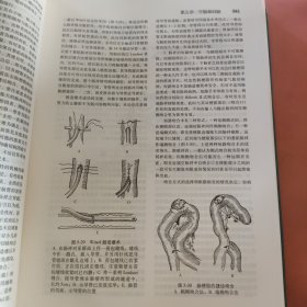 钱礼腹部外科学