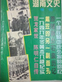湖南文史 1994年增刊