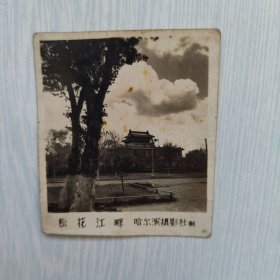 风景老照片——松花江畔
