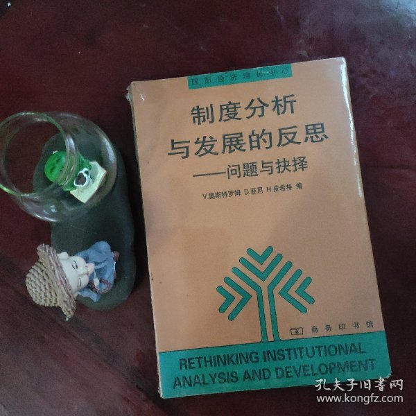 制度分析与发展的反思