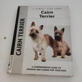 英文原版 cairn terrier
