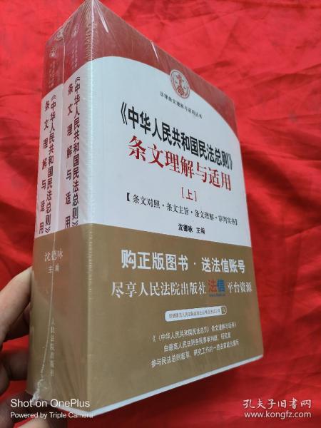 中华人民共和国民法总则 条文理解与适用（套装上下册）