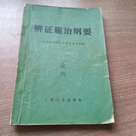 辨证施治纲要