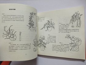 知识画库 实用园艺系列:花篮、插花【两册合售】