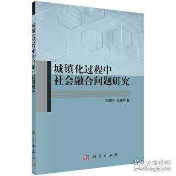 城镇化过程中社会融合问题研究