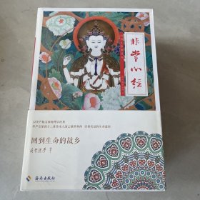 非常心经