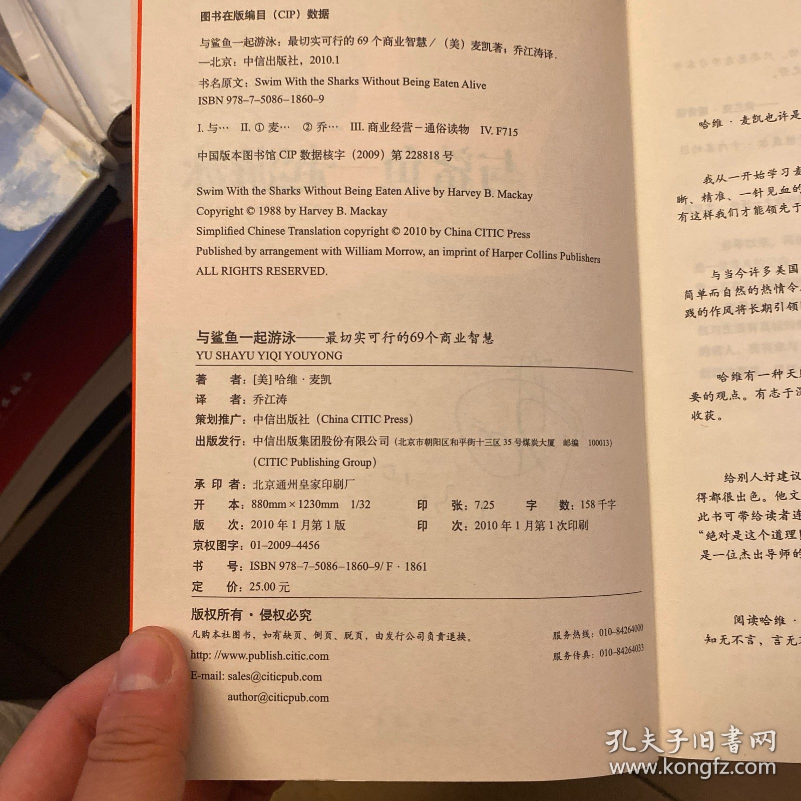 与鲨鱼一起游泳