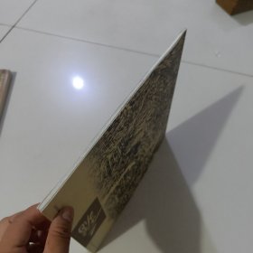 当代山水画精品心解·王镛