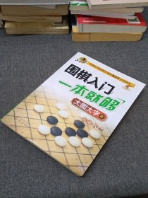 围棋入门一本就够：大图大字版