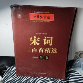 中国好字帖 边读边写古典精粹：宋词三百首精选（王正良行书）