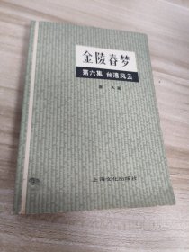 金陵春梦第六集台湾风云