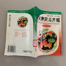 中华爱国主义文学名著文库：野火春风斗古城