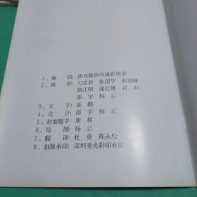 【老资料】80年代老西双版纳宣传画册