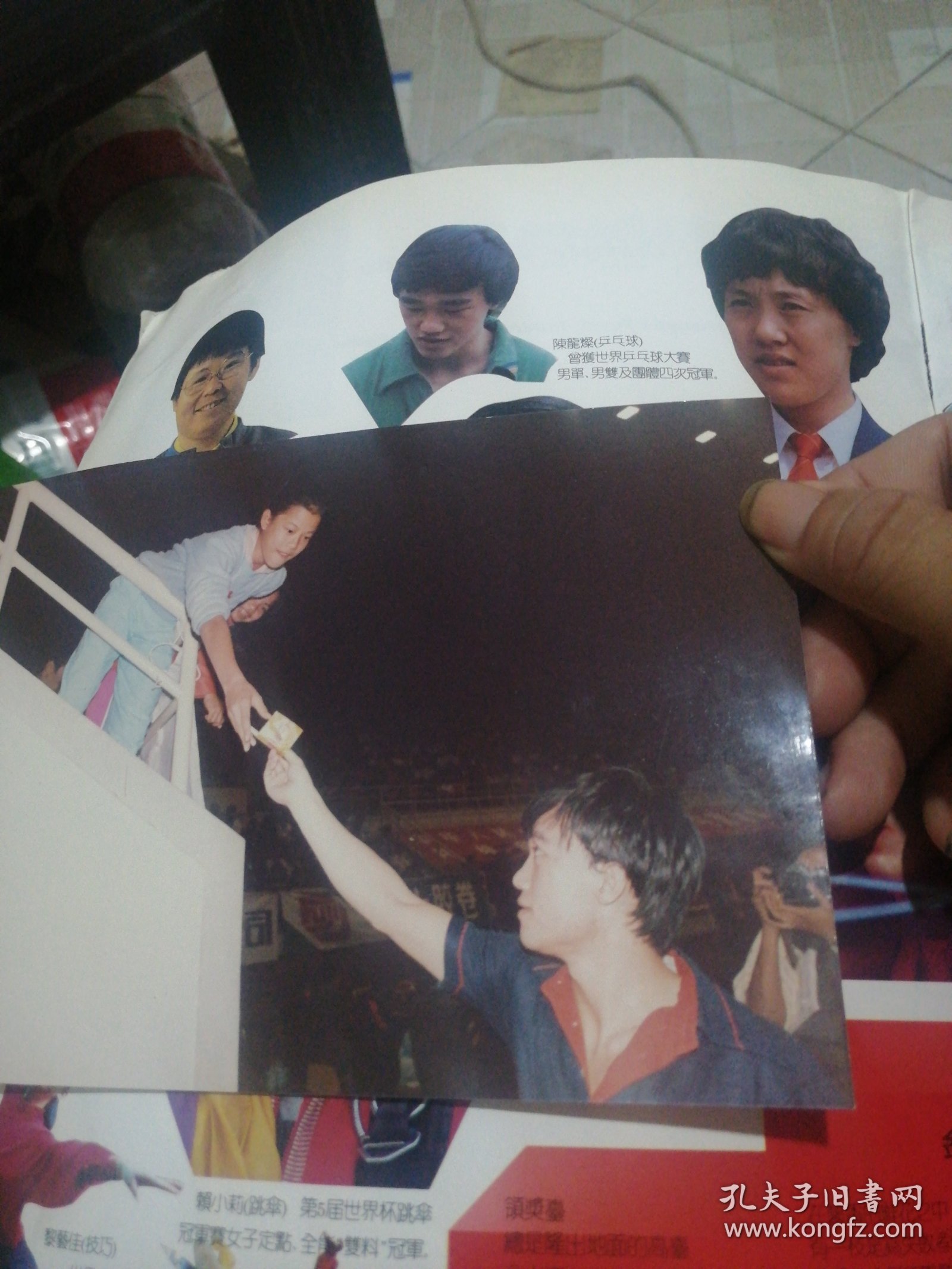 乒乓球冠军陈龍燦