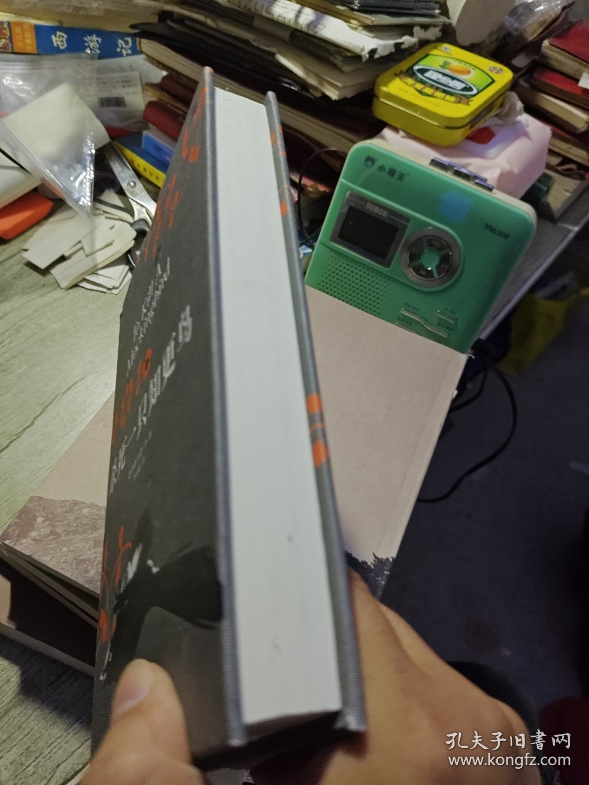 杀死一只知更鸟