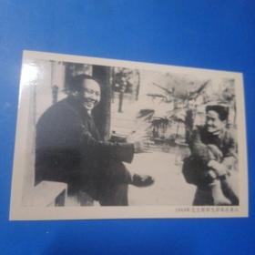 老黑白照片，1949年毛主席和毛岸英在香山