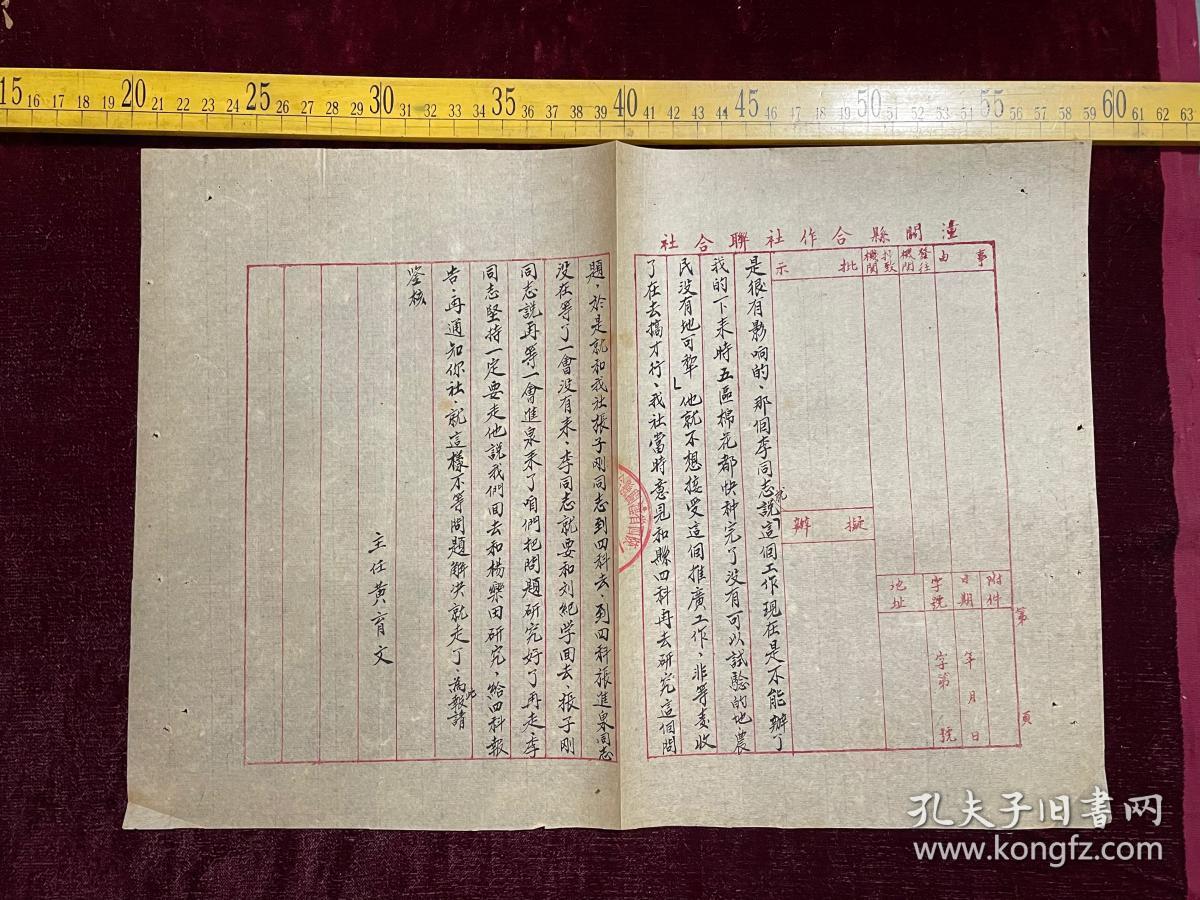 1953年，潼关县合作社联合社报告，关于技术站刘纪学同志来我社研究改进步犁推广工作情况事宜，大张，共2页，毛笔手写，字迹特别漂亮