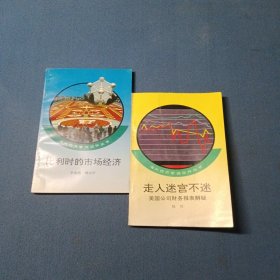 海外经济管理运作丛书（2本合售）